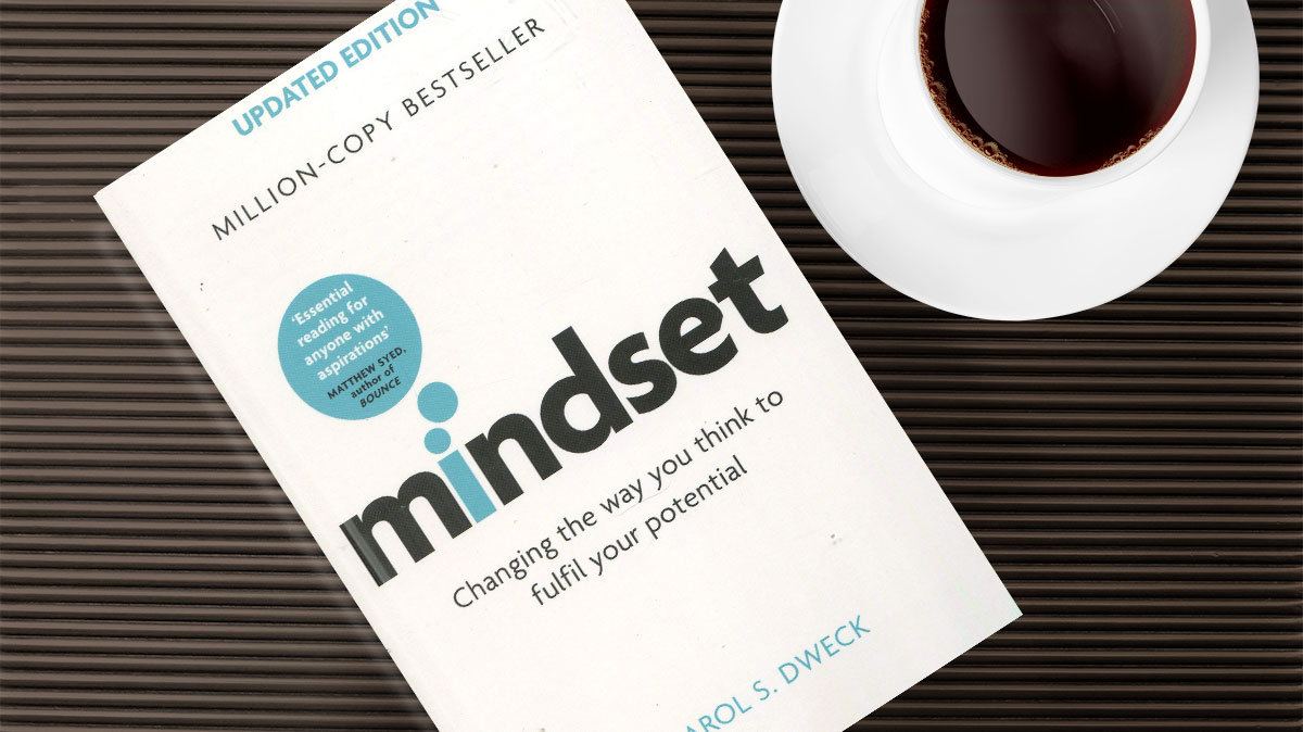 review of book mindset